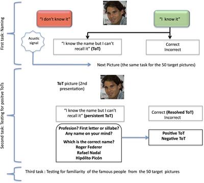 Longitudinal Patterns of the Tip-of-the-Tongue Phenomenon in People With Subjective Cognitive Complaints and Mild Cognitive Impairment